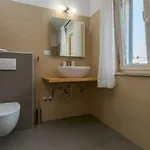 فيلة Laura An Kaštelir