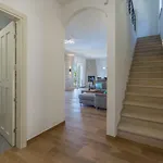 فيلة Laura An Kaštelir